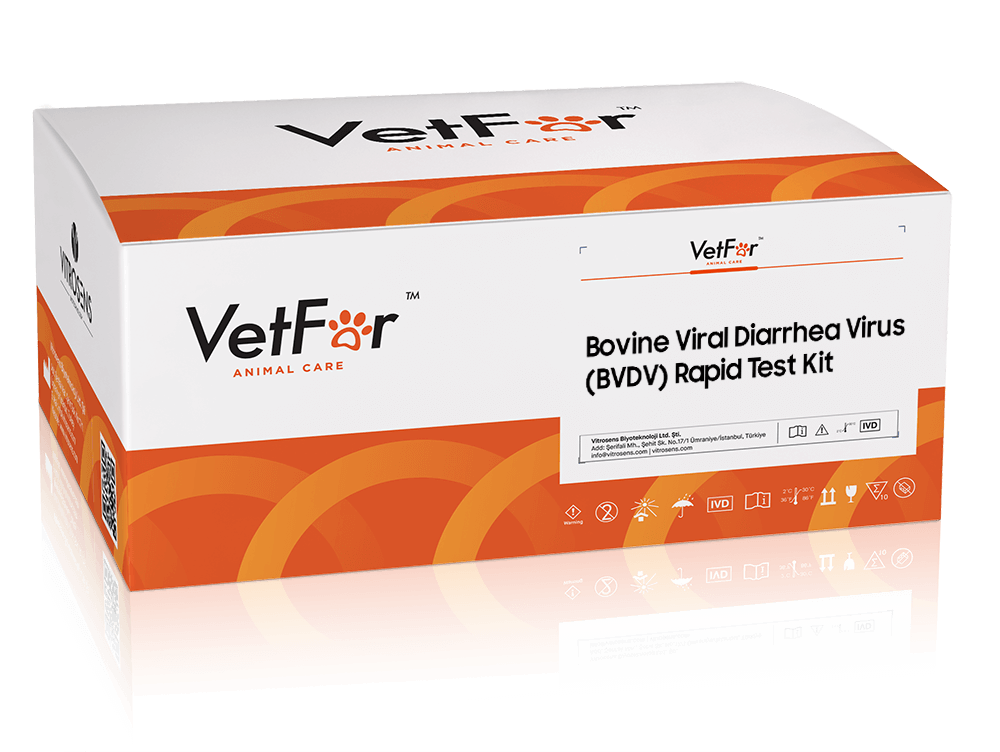 Bovine-Viral-Diarrhea-Virus-BVDV-Rapid-Test-Kit