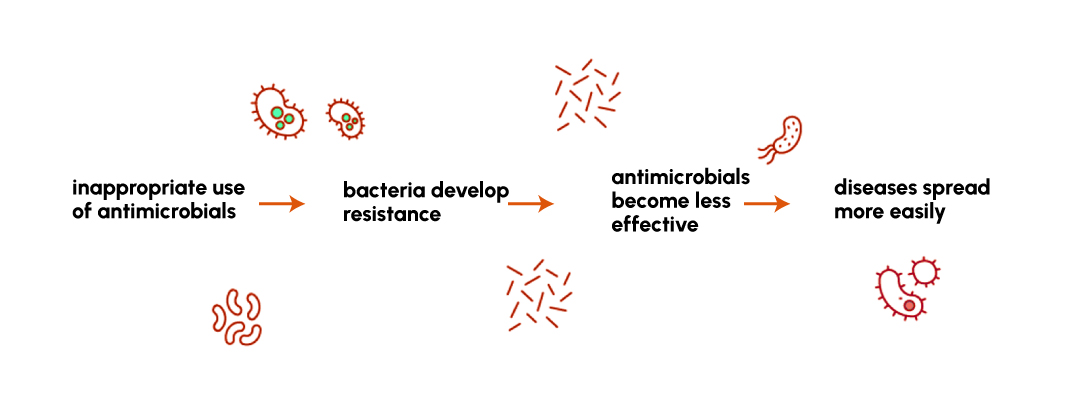 Figure 1: Understanding Antimicrobial Resistance
