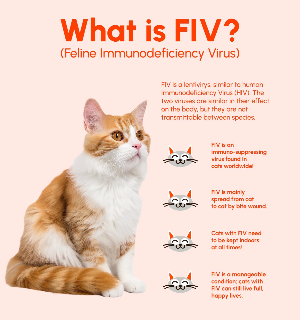 Figure 2: Feline Immunodeficiency Virus (FIV)