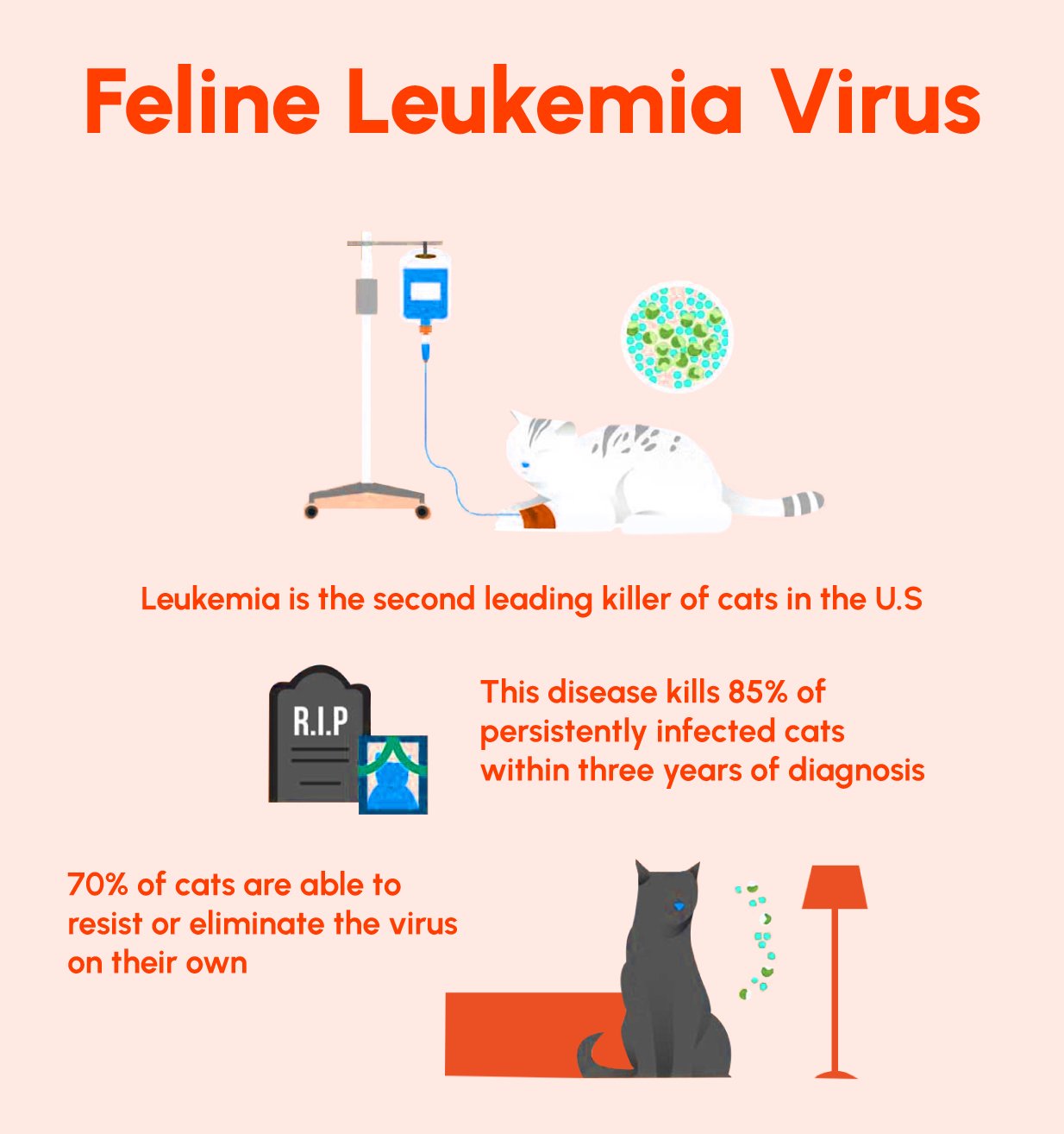 Figure 3: Feline Leukemia Virus (FeLV)