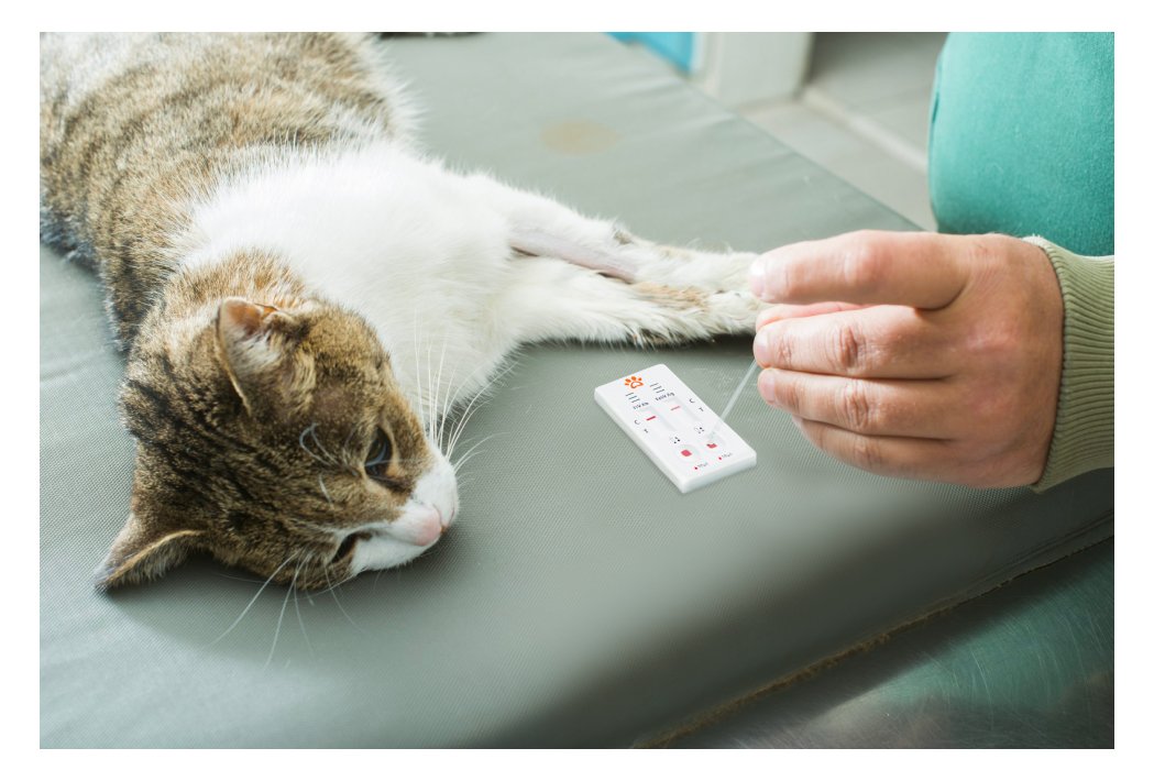 Figure 4: VetFor FIV Antibody + FeLV Antigen Rapid Test Kit
