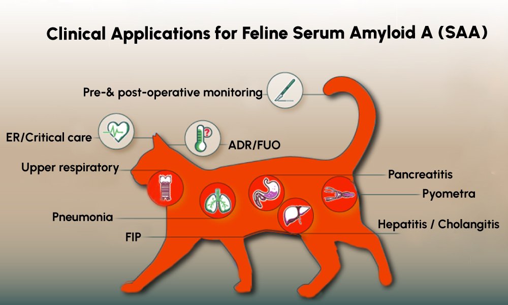 Figure 3: Clinical Applications for Feline Serum Amyloid A (fSAA)
