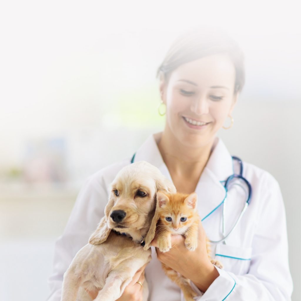 Giardia Rapid Antigen Test Kit: Enhancing Veterinary Diagnostics