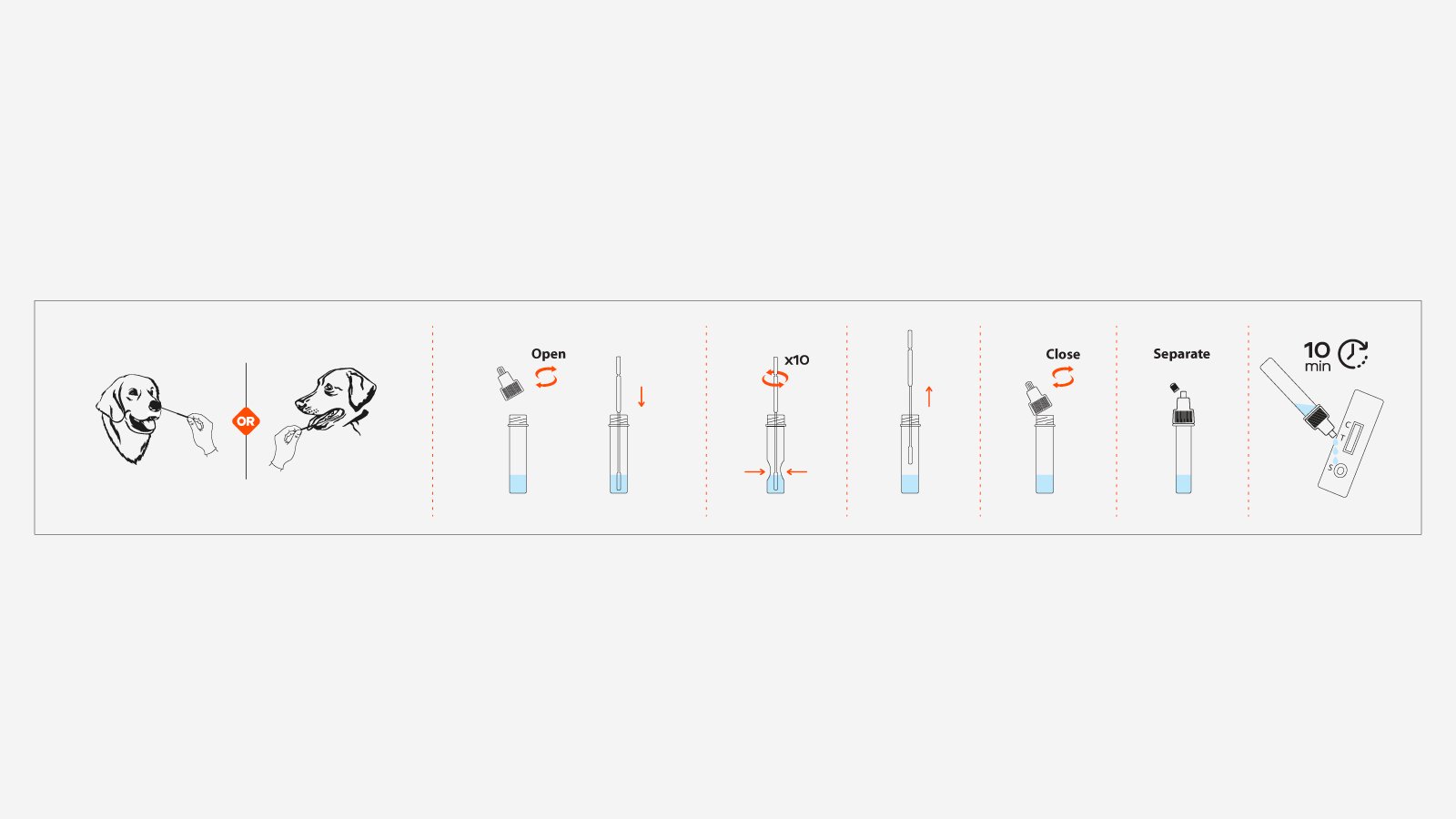 Figure 3: How to use the CDV rapid antigen test kit