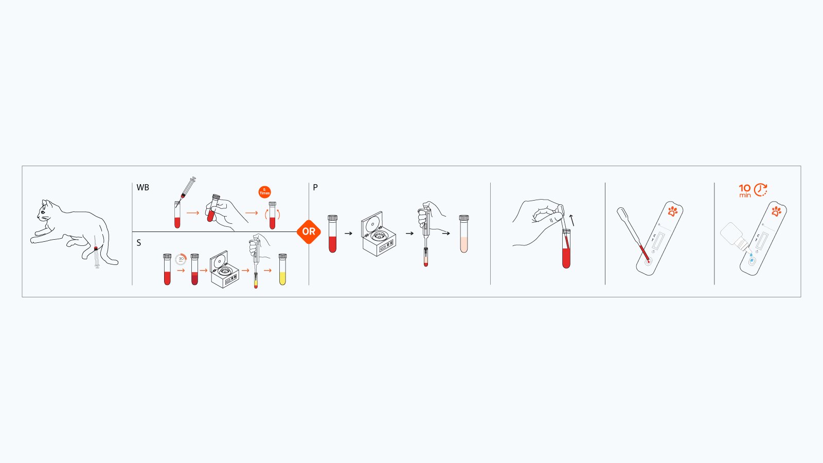 Figure 3: Step-by-Step Process for Using the Rapid Test Kit