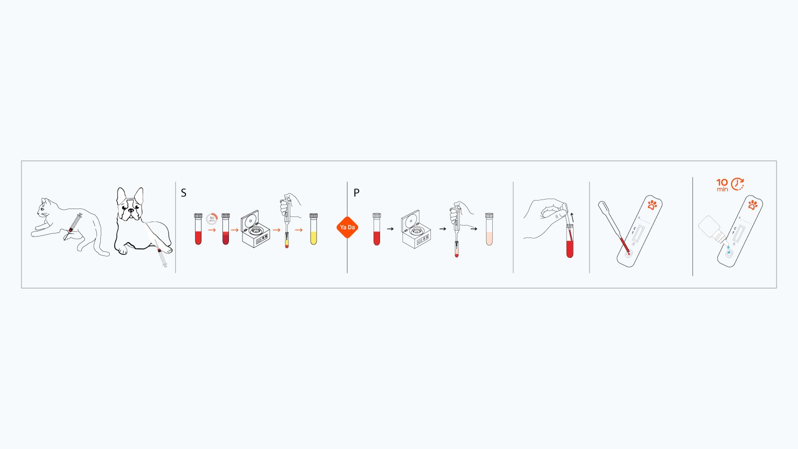 Figure 3: How to use the VetFor toxo rapid antibody test kit