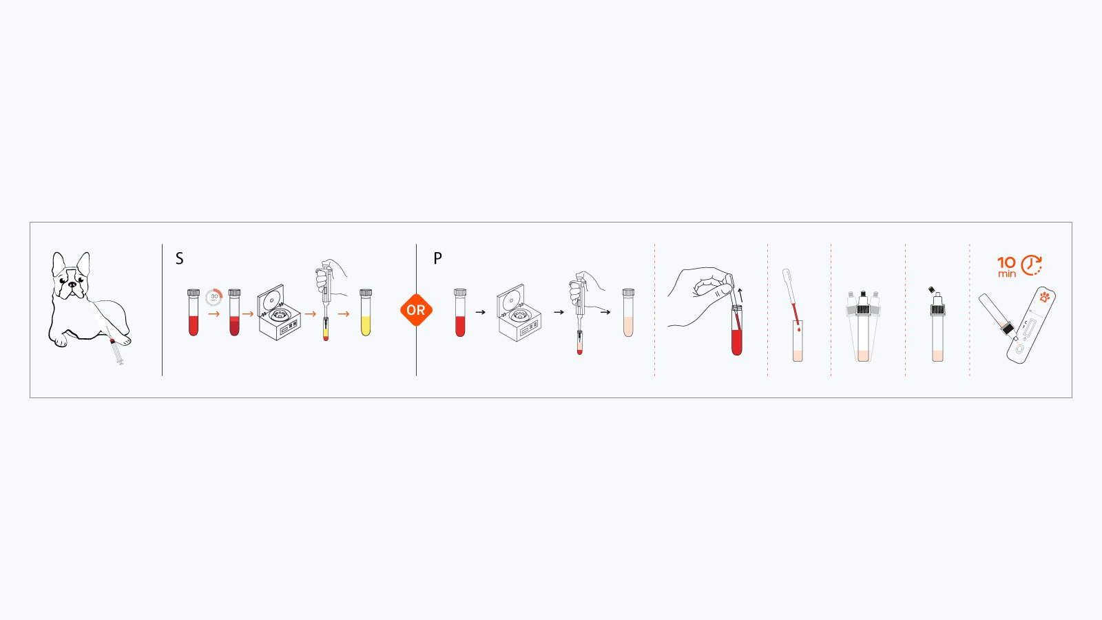 Figure 3: The workflow of the Leishmania Rapid Antibody Test Kit
