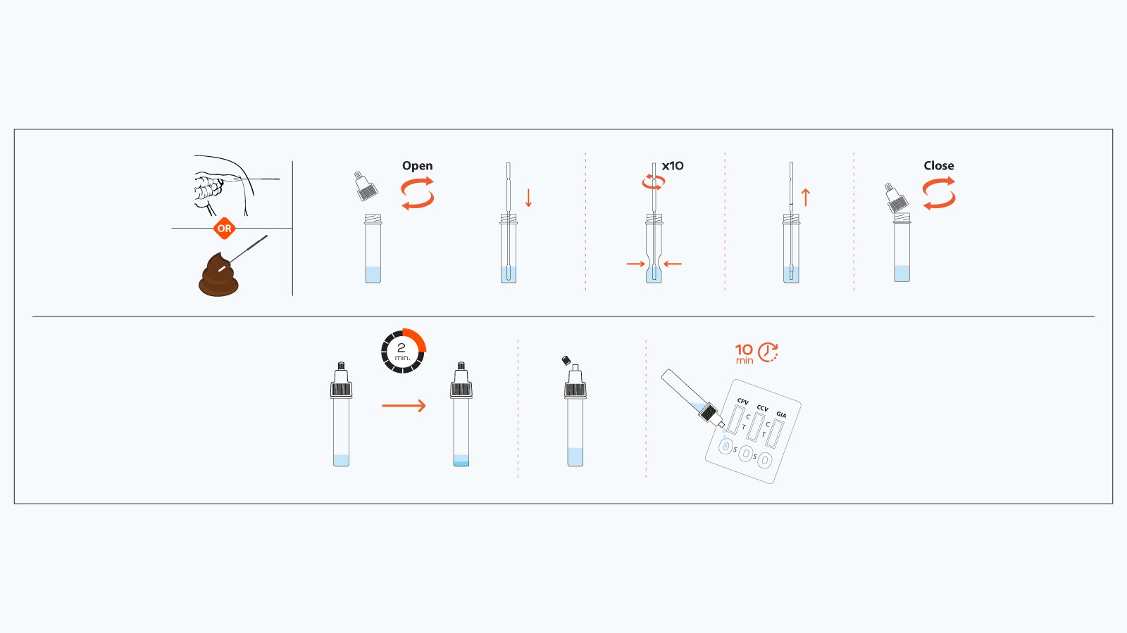 Figure 2: How to use the VetFor CPV+CCV+Giardia combo rapid antigen test kit