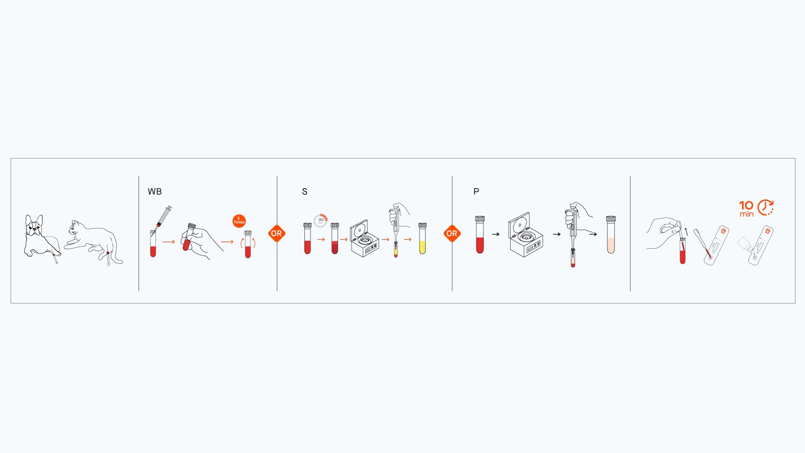 Figure 3: How to use the HW rapid antigen test kit