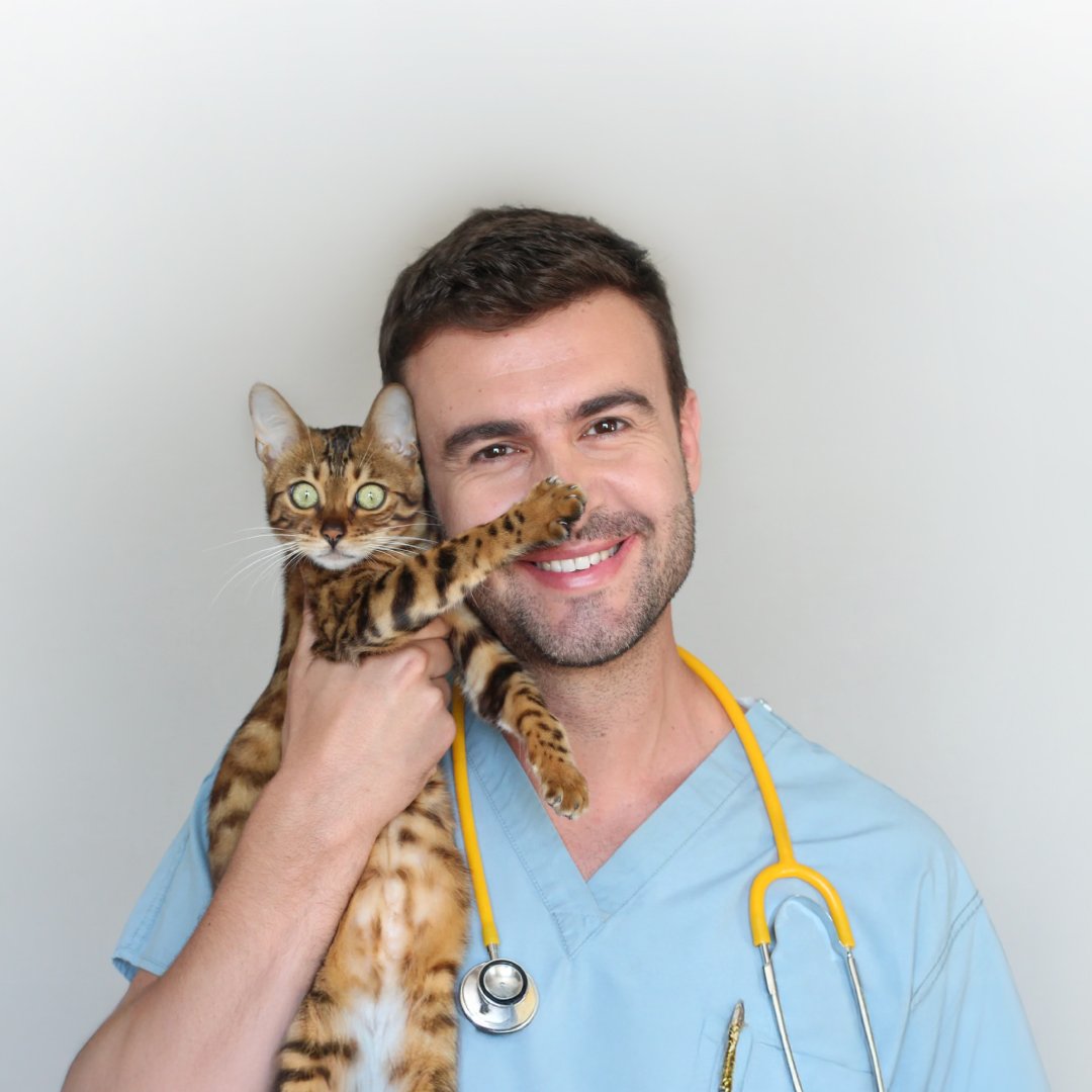 Fast, Reliable, and Accurate FIP Diagnosis: VetFor Detection Kit for Feline Infectious Peritonitis