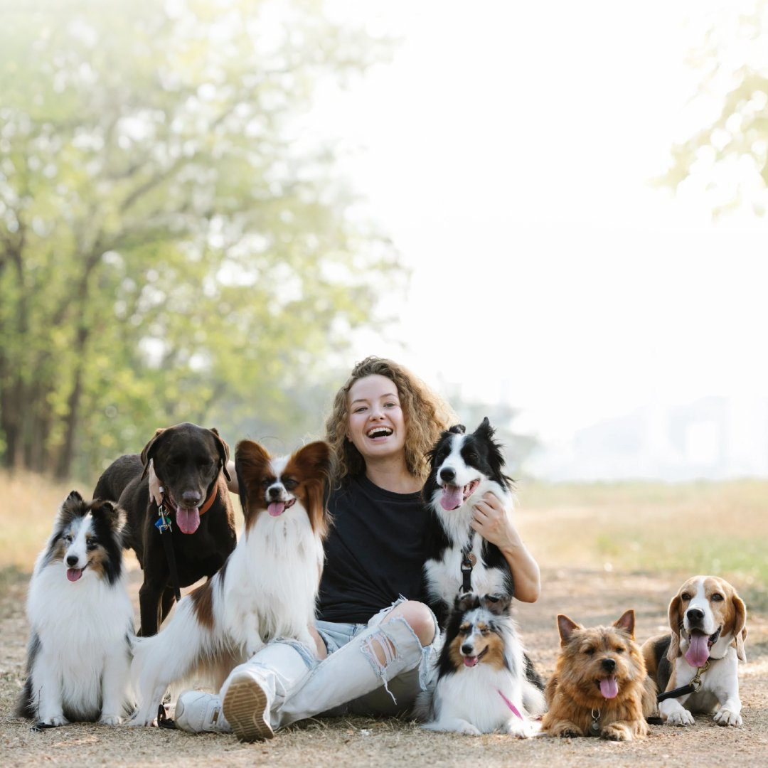Canine Distemper: A Silent Threat to Your Dog's Health