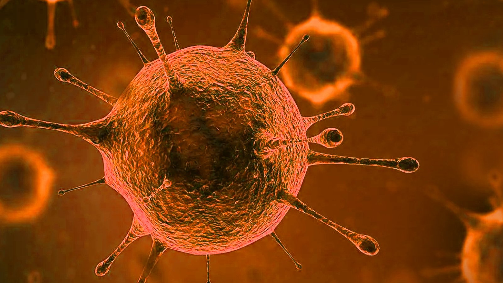 Figure 1. Newcastle Disease Virus