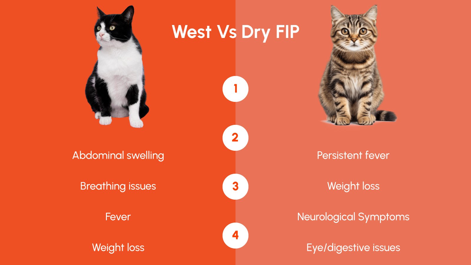 Figure 1: Wet vs Dry FIP