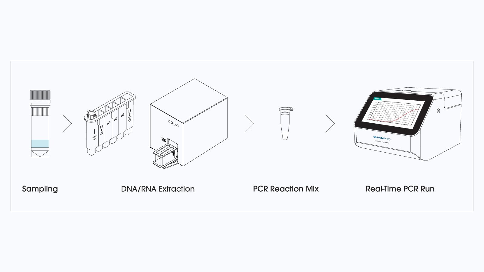 Figure 3. VetFor Taylorella Equigenitalis Detection Kit Workflow