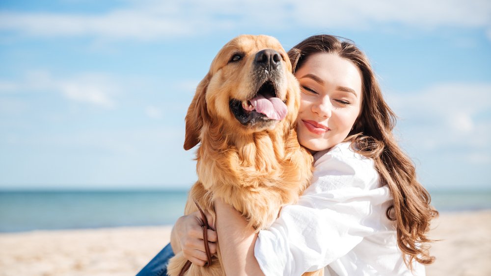 Figure 5. A healthy dog and theirs owner; protecting dogs from Leishmania also means shielding people too.