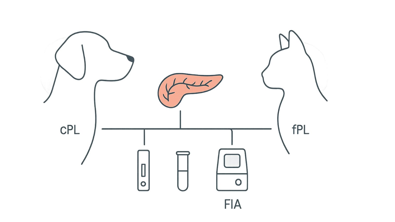 Figure 1. cPL/fPL overview; pancreas specific lipase testing in dogs and cats using SNAP, Spec, and FIA.