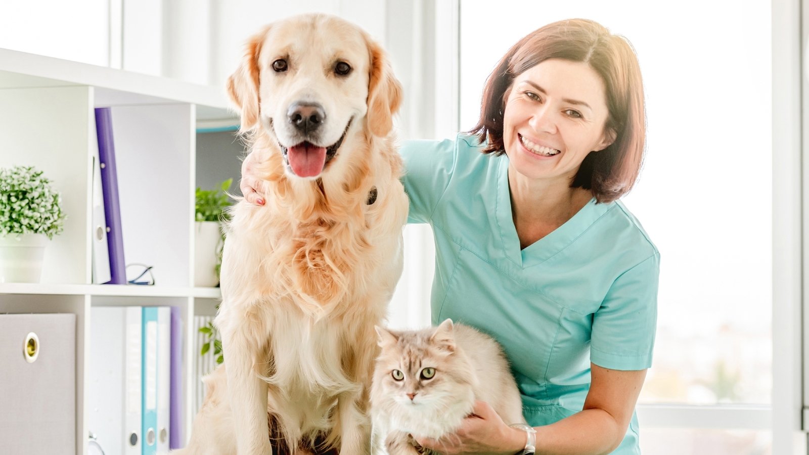 Figure 3. A veterinarian examining a dog and cat during a clinic visit.
