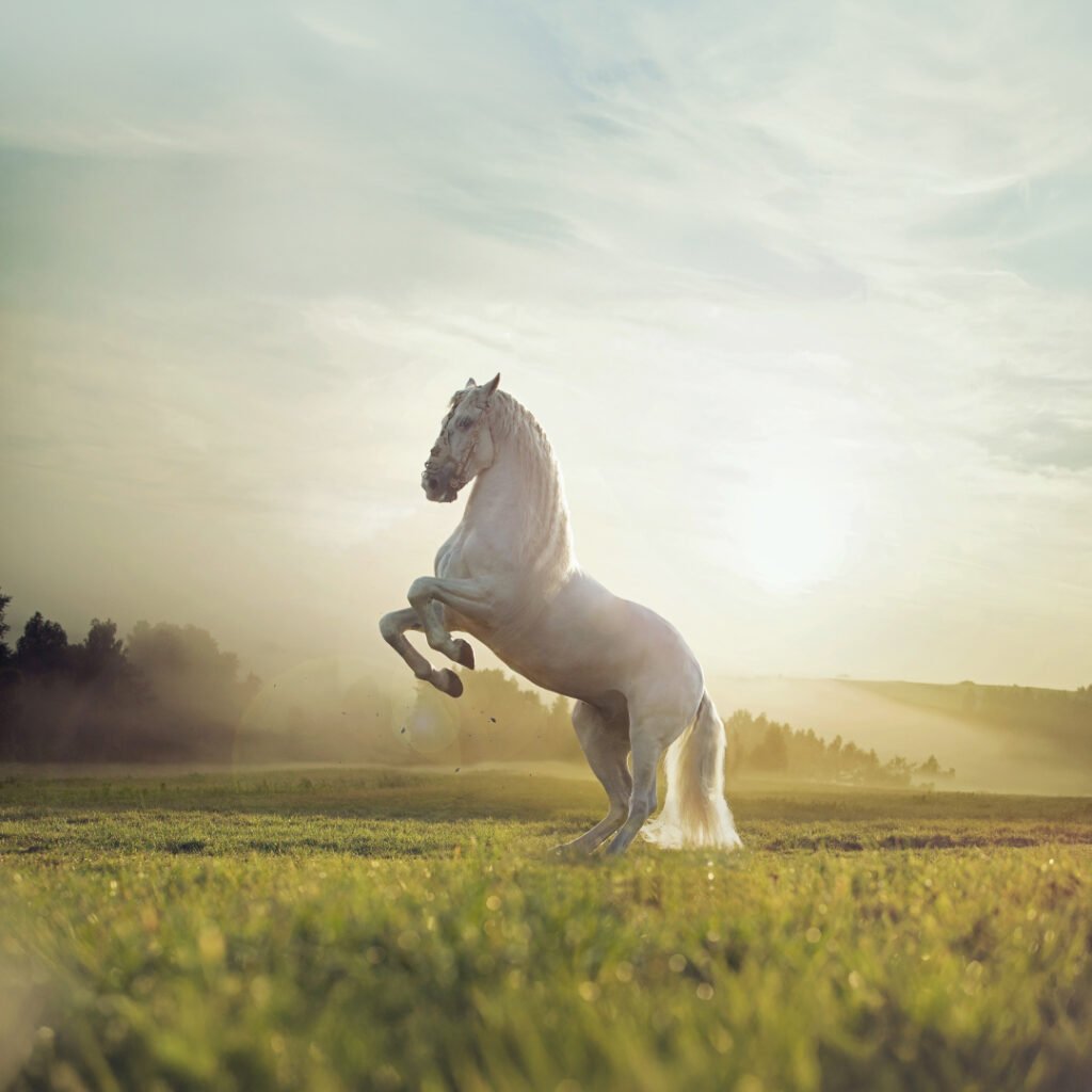 Equine Influenza (H3N8): The Respiratory Threat in Stables