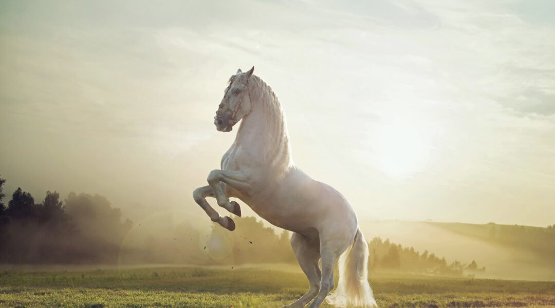 Equine Influenza (H3N8): The Respiratory Threat in Stables