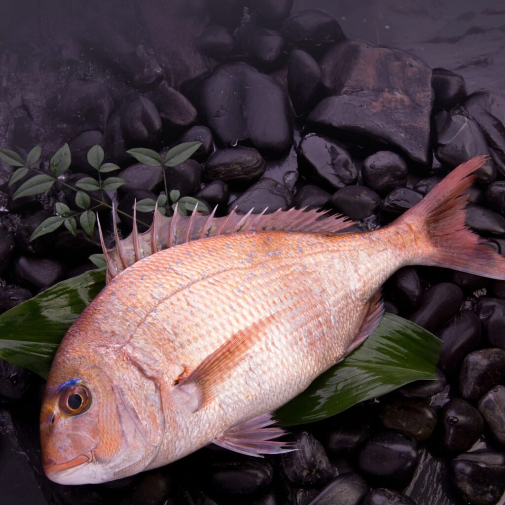 Red Seabream Iridovirus (RSIV): A High Impact Viral Disease in Marine Aquaculture