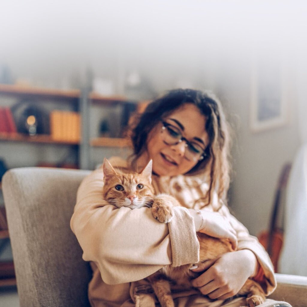 From Cuddles to Care: FCoV, FPV and Giardia Testing in Cats