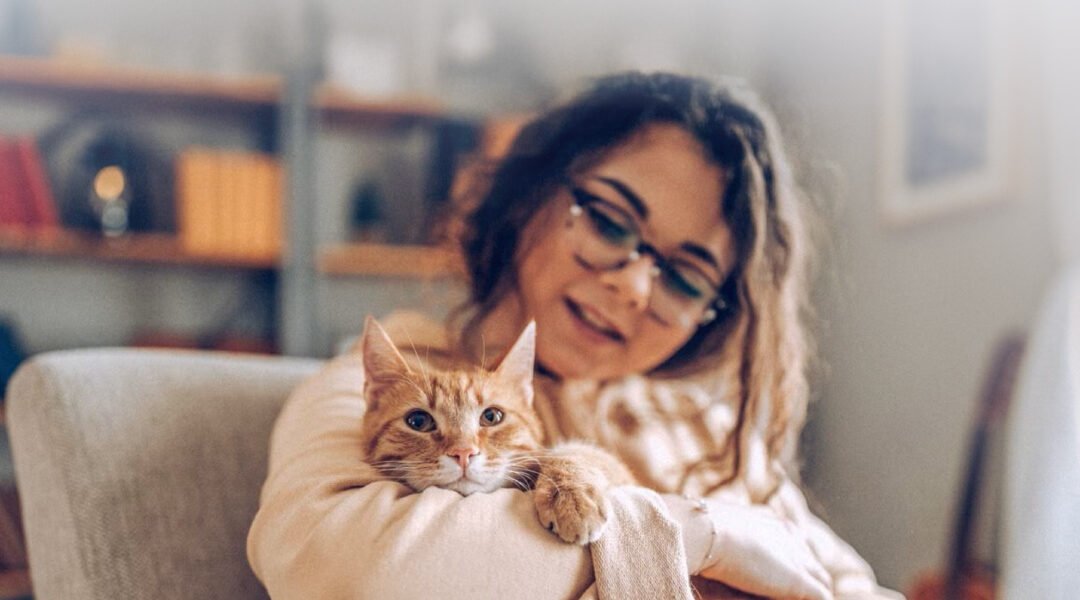 From Cuddles to Care: FCoV, FPV and Giardia Testing in Cats