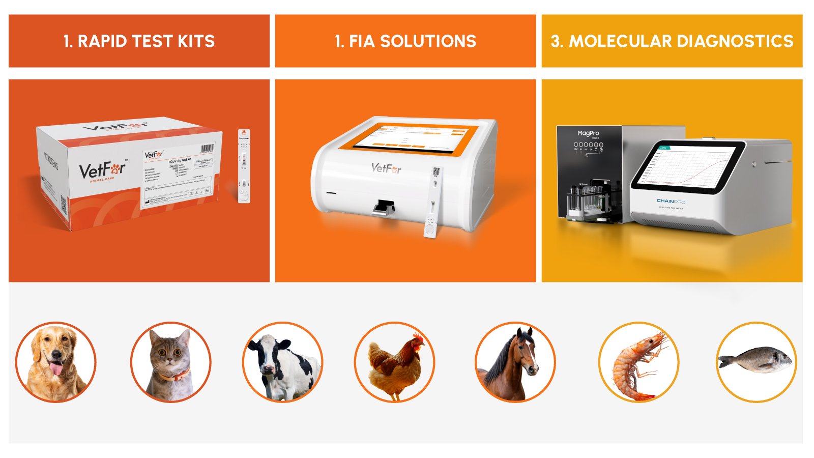 Overview of the VetFor™ diagnostic portfolio across animal health categories.