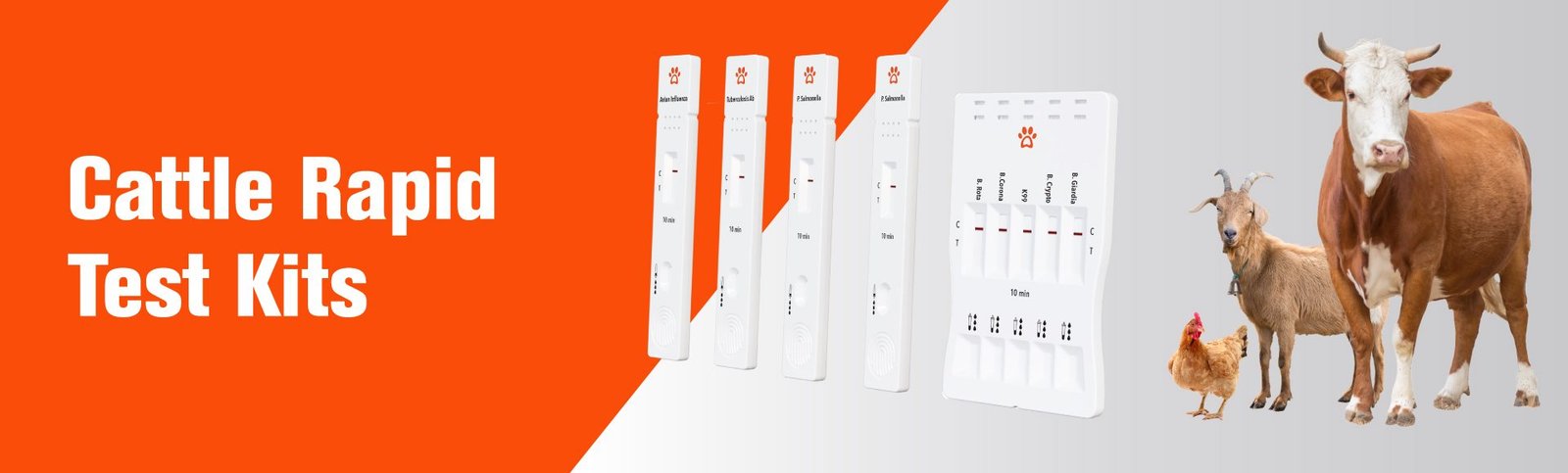 Cattle Rapid Test Kits ENG-Web
