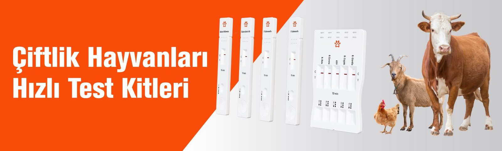 Çiftlik Hayvanları Hızlı Test Kitleri TR-Web