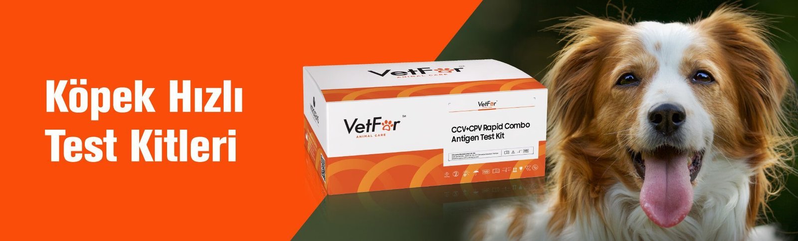 Kopek-hizli-test-kitleri-vetfor-px28w45tuf3hz7csptihq1lyau3298mncy0n8vtd48